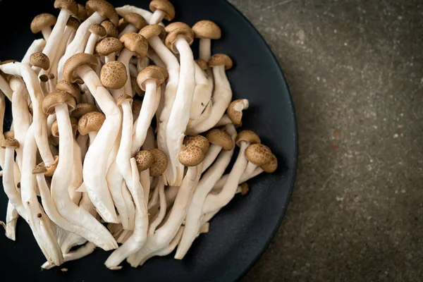 Champignon Frais Hêtre Brun Champignon Noir Reishi Sur Assiette — Photo