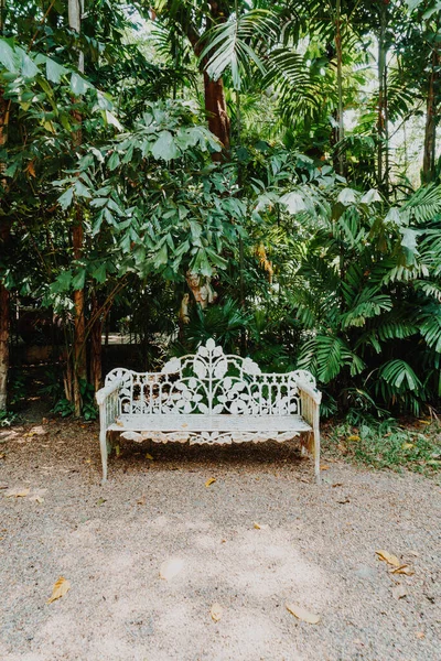 Banc Vintage Vide Dans Jardin Filtre Effet Vintage — Photo