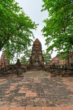 Wat Mahathat Tapınağı, Ayutthaya, Tayland 'daki UNESCO Dünya Mirası Bölgesi, Sukhothai Tarih Parkı' nda.