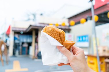 Taiyaki - pancake fish shave in Japanese style on hand
