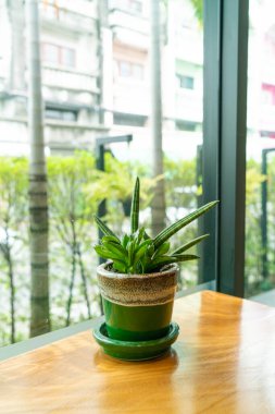 Kahve dükkanındaki kafeteryanın masasına saksı süslemesi.