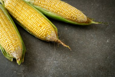 Fotokopi alanı olan koyu arkaplanda taze mısır