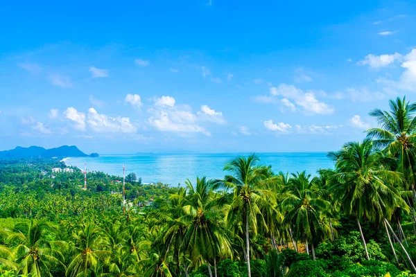 Bellissimo Mare Veiw Naern Thae Wada Punto Vista Nakhon Thammarat — Foto Stock