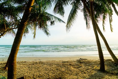 beautiful sea beach with coconut palm tree at sunset time