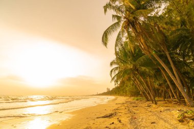 beautiful sea beach with coconut palm tree at sunset time