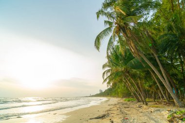 beautiful sea beach with coconut palm tree at sunset time