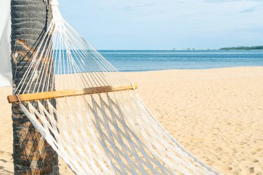 Deniz sahili geçmişi olan boş bir beşik.