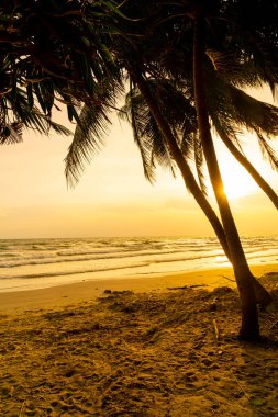beautiful sea beach with coconut palm tree at sunset time