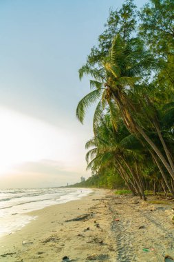 beautiful sea beach with coconut palm tree at sunset time
