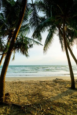 beautiful sea beach with coconut palm tree at sunset time