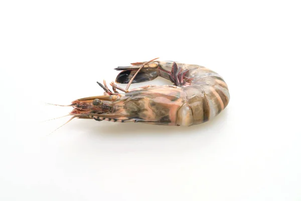 Fresh Tiger Prawn Shrimp Isolated White Background — Stock Photo, Image