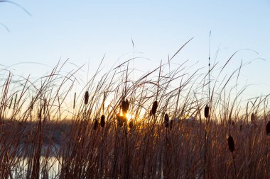 Soğuk sonbahar sabahı ve gölün üzerinde gün doğumu.