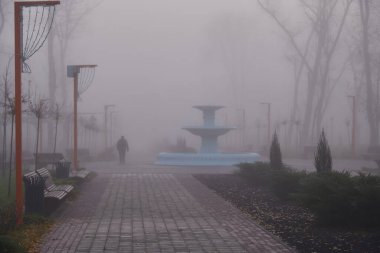 Sonbaharda sabah sisinde şehir parkındaki çeşme..