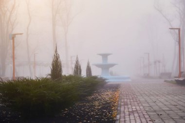 Sonbaharda sabah sisinde şehir parkındaki çeşme..