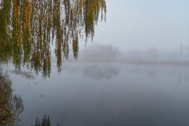 Sis ve sudaki ağaçların yansımasıyla sonbahar sabahı manzarası.