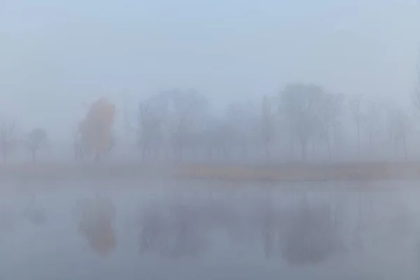Осінній Ранковий Пейзаж Туманом Відображенням Дерев Воді — стокове фото