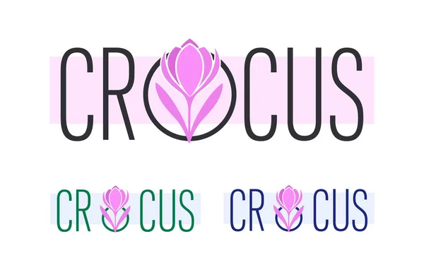 Flores de azafrán, azafrán. Logo. Azafrán abstracto Crocus. Primavera flores violetas en el fondo del nombre — Archivo Imágenes Vectoriales