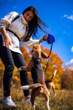 Genç ve güzel bir kız, sonbahar ormanında iki aktif av köpeğiyle yürüyor..