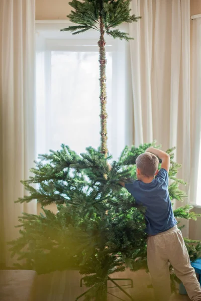 少年は自宅のリビングルームで人工的なクリスマスツリーを収集します — ストック写真