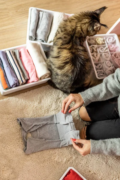 Mother and cat neatly folded daughter kid clothes in case box for comfortable vertical storage