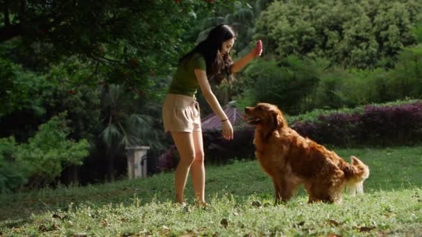 Movimento Lento Cabelo Longo Jovem Mulher Asiática Brincando Com Cão — Vídeo de Stock
