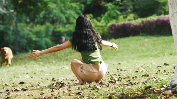 Гарний Золотий Ретривер Біжить Сексуальної Жінки Азії Вулиці Сонячному Парку — стокове відео