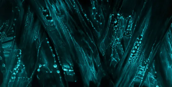 摘要蓝绿色网络技术展示背景 水壁纸上黑色 丙烯酸涂料上的霓虹灯色 — 图库照片