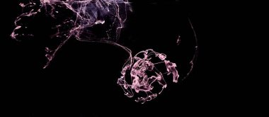 Siyah mürekkep arka planında pembe duman, renkli sis, soyut girdap dokunuşu okyanus denizi, akrilik boya pigmenti su altında