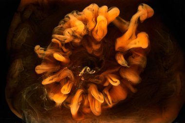 Siyah mürekkep arka planında turuncu duman, renkli sis, soyut girdap gibi dönen okyanus denizi, akrilik boya pigmenti su altında.