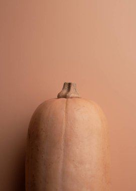 Olgunlaşmış balkabağı turuncu arkaplanı kapat