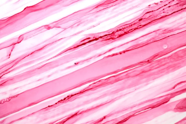 Fondo Rayas Color Rosa Abstracto Papel Pintado Tinta Acuarela Manchas —  Fotos de Stock