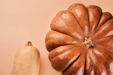 İki farklı olgun balkabağı yakın turuncu arka plan