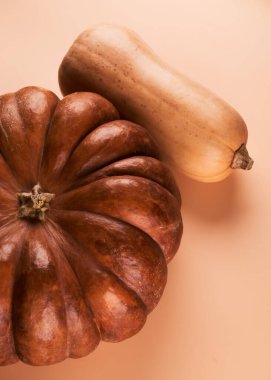 İki farklı olgun balkabağı yakın turuncu arka plan