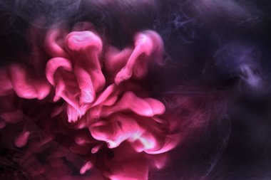 Siyah mürekkep arka planında pembe duman, renkli sis, soyut girdap dokunuşu okyanus denizi, akrilik boya pigmenti su altında