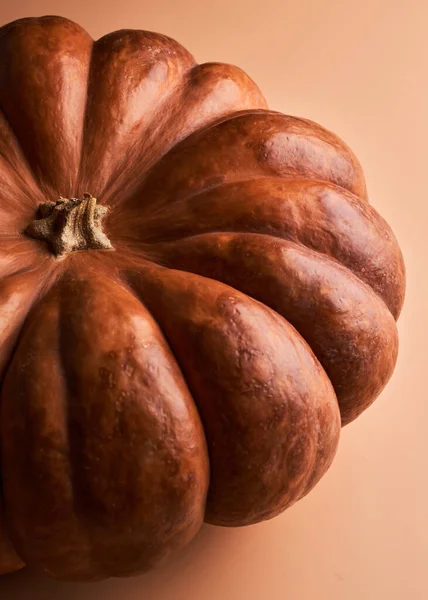 Olgunlaşmış balkabağı turuncu arkaplanı kapat