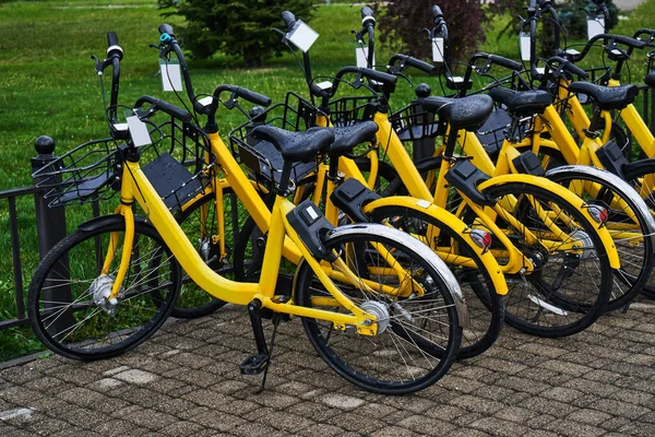 Rent Yellow Bikes Parking — Stock Photo, Image