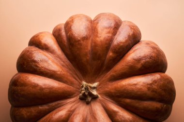 Olgunlaşmış balkabağı turuncu arkaplanı kapat