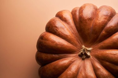 Olgunlaşmış balkabağı turuncu arkaplanı kapat