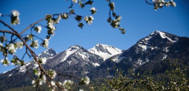 Dağ yaz manzarası, mavi gökyüzü, Soçi Rusya