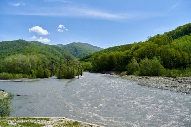 Dağ yaz manzarası, mavi gökyüzü, nehir ve yeşil orman, Soçi Rusya