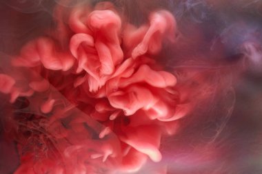 Siyah ve kırmızı mürekkep arka plan, renkli sis, soyut girdap okyanusu, akrilik boya pigmenti su altında, beyaz duman