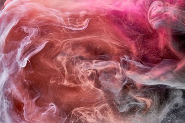 Siyah mürekkep arkaplanındaki çok renkli pembe duman, renkli sis, soyut girdap dokunuşu okyanus denizi, akrilik boya pigmenti su altında