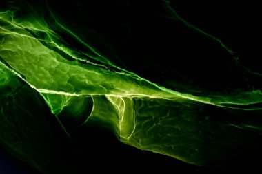 Alkol mürekkep arkaplanı, soyut yeşil okyanus dalgaları, akrilik boya deniz girdabı, lekeler ve lekeler.