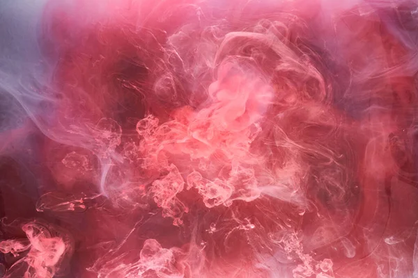 Siyah ve kırmızı mürekkep arka plan, renkli sis, soyut girdap okyanusu, akrilik boya pigmenti su altında, beyaz duman