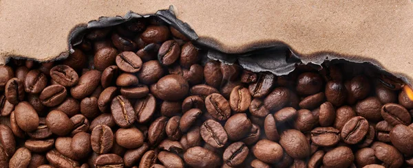 Roasted Smoking Coffee Beans Macro Close Creative Background — Stock Photo, Image