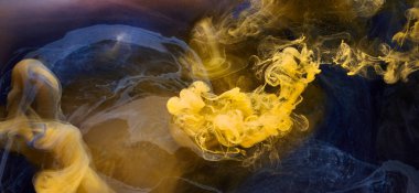 Sıvı akışkan sanat özgeçmişi. Mavi sarı dans eden akrilik boyalar suyun altında, okyanus dumanı