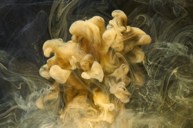 Sıvı akışkan sanat özgeçmişi. Siyah, sarı dans eden akrilik boyalar suyun altında, uzay dumanı okyanusu