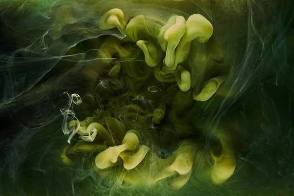Sıvı akışkan sanat özgeçmişi. Yeşil dans eden akrilik boyalar su altında, kozmik duman okyanusu