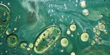 Alkol mürekkebi yeşil soyut arkaplan, doğal doku kabarcıkları suya boya sıçraması.