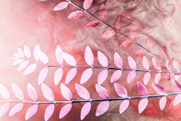 Abstract pink background with leaves and paints in water. Backdrop for perfume, cosmetic products